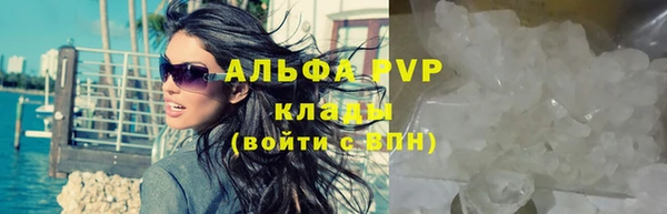 стафф Козловка