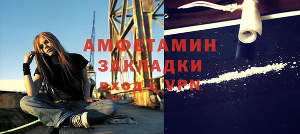 шишки Саяногорск
