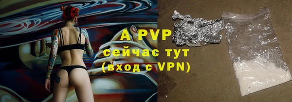 твердый Кодинск