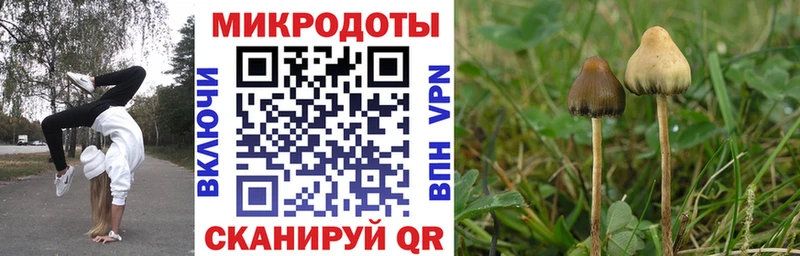 Псилоцибиновые грибы Psilocybine cubensis  продажа наркотиков  Лахденпохья 